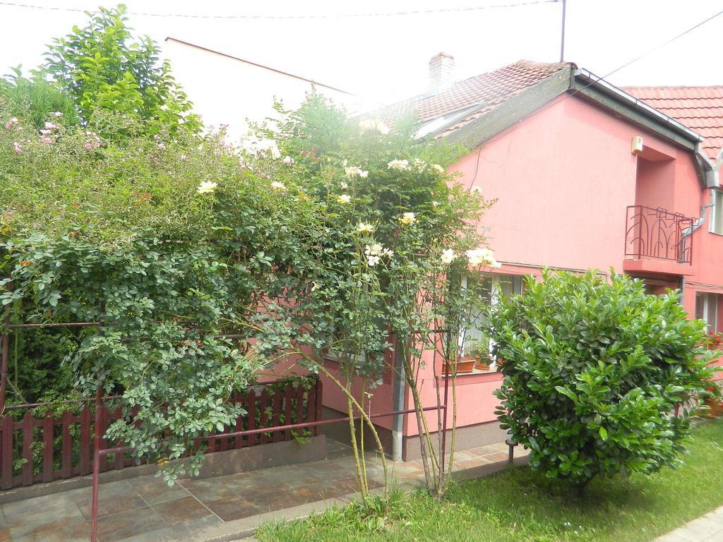 Cazare Vio Hotel Kolozsvár Kültér fotó