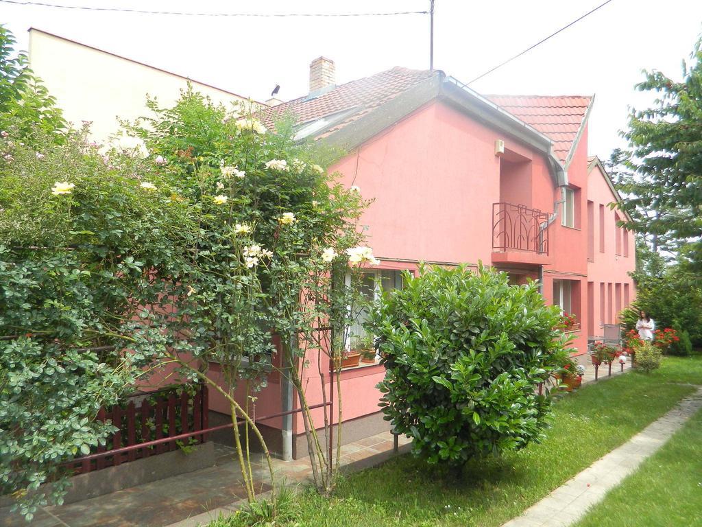 Cazare Vio Hotel Kolozsvár Kültér fotó